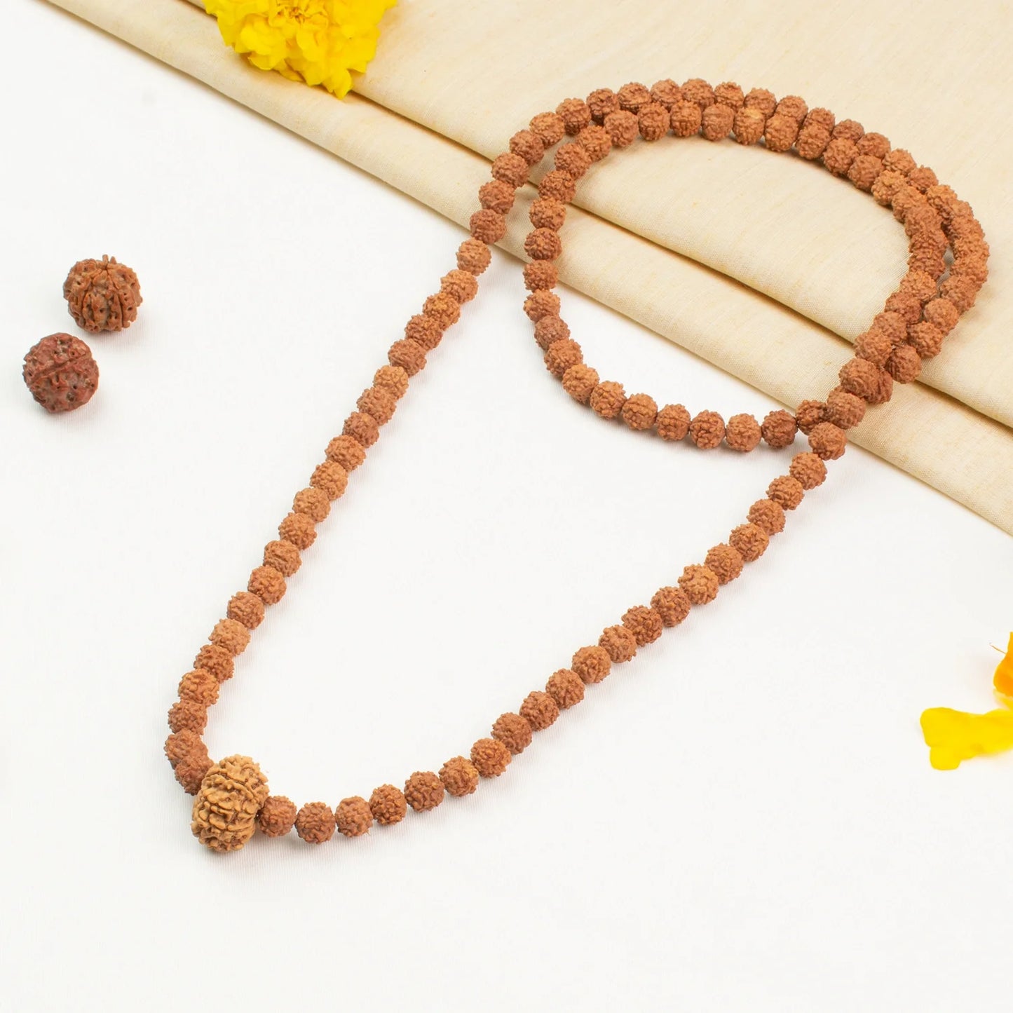 9 Mukhi Rudraksha Bead in 5 Mukhi Rudraksha Mala