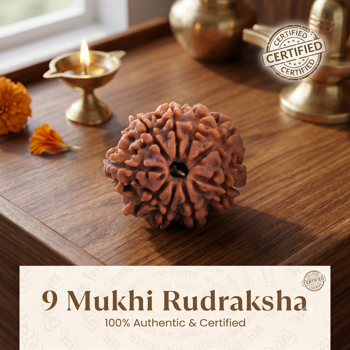 Nepal Origin 9 Mukhi Rudraksha - 17mm to 22mm