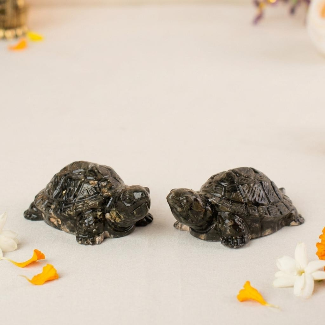 Vastu Pyrite Tortoise (Pack of 2)