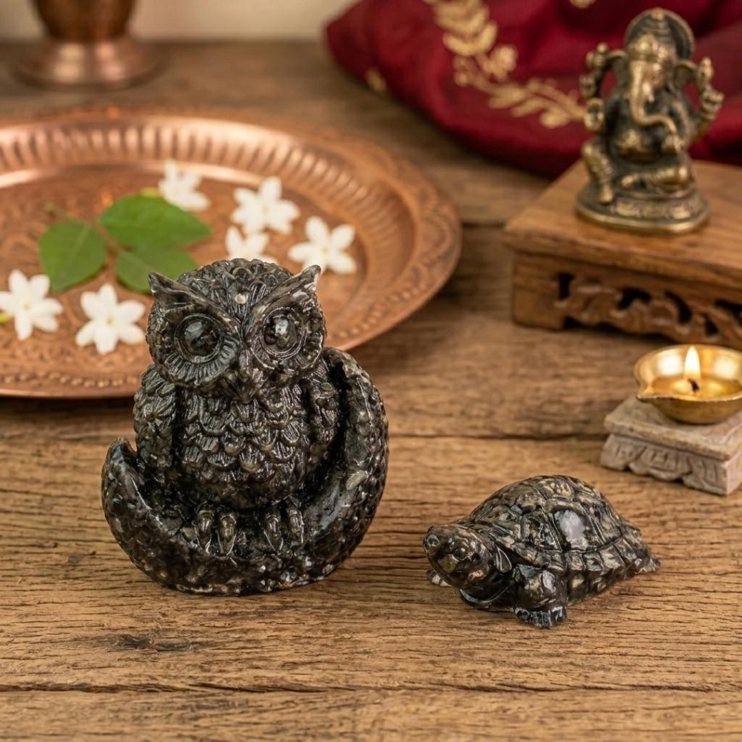 Vastu Pyrite Wealth & Wisdom Combo