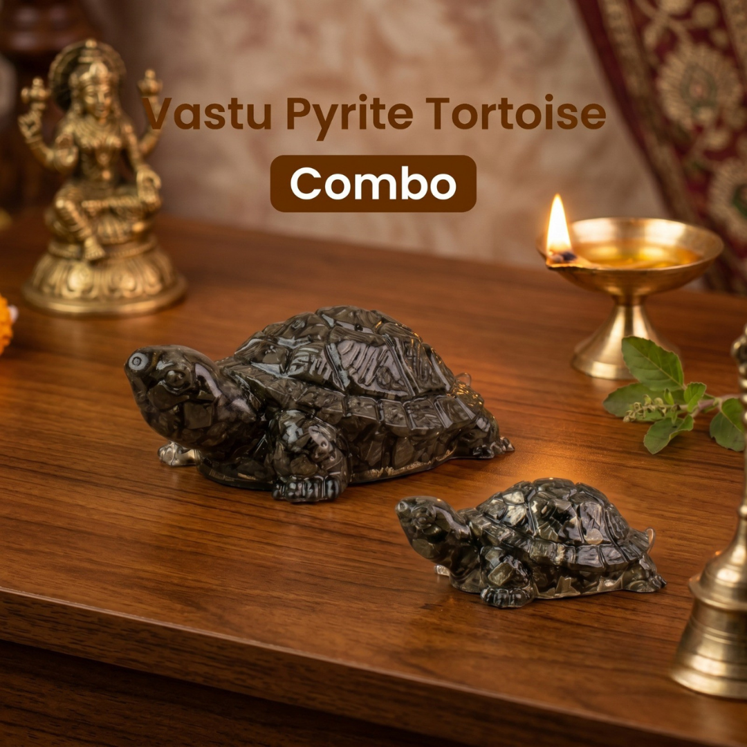 Vastu Pyrite Tortoise Combo – Small Kachhua with Big Kachhua