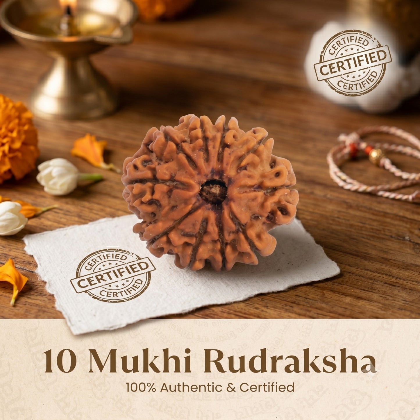 Nepal Origin 10 Mukhi Rudraksha - 17mm to 22mm