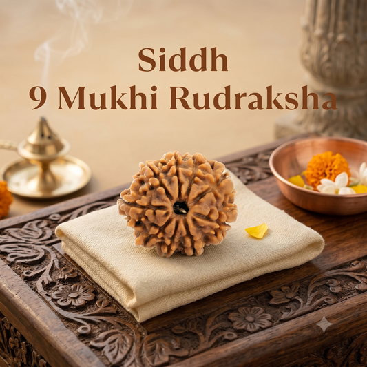 Kashi Siddh Nepal Origin 9 Mukhi Rudraksha -  17mm to 22mm