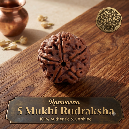 Nepal Origin 5 Mukhi Rudraksha Bead - FREE GIFT