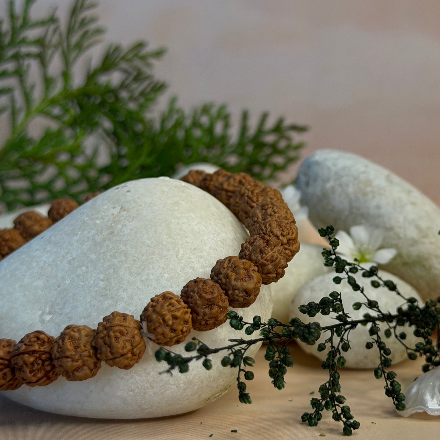 5 Mukhi Rudraksha Bracelet