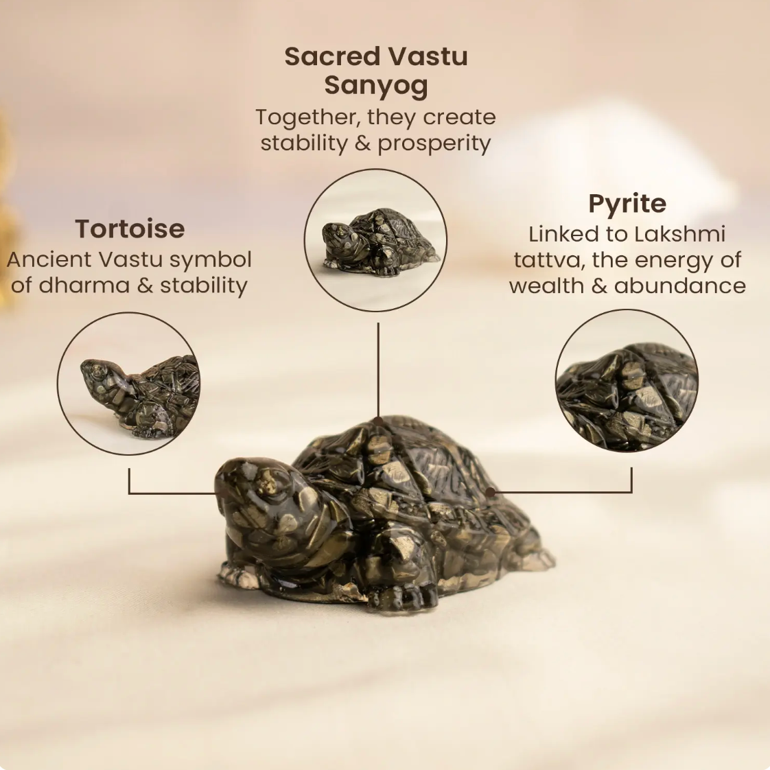 Vastu Pyrite Tortoise (Kachhua)
