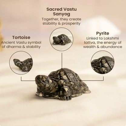Vastu Pyrite Tortoise (Kachhua)