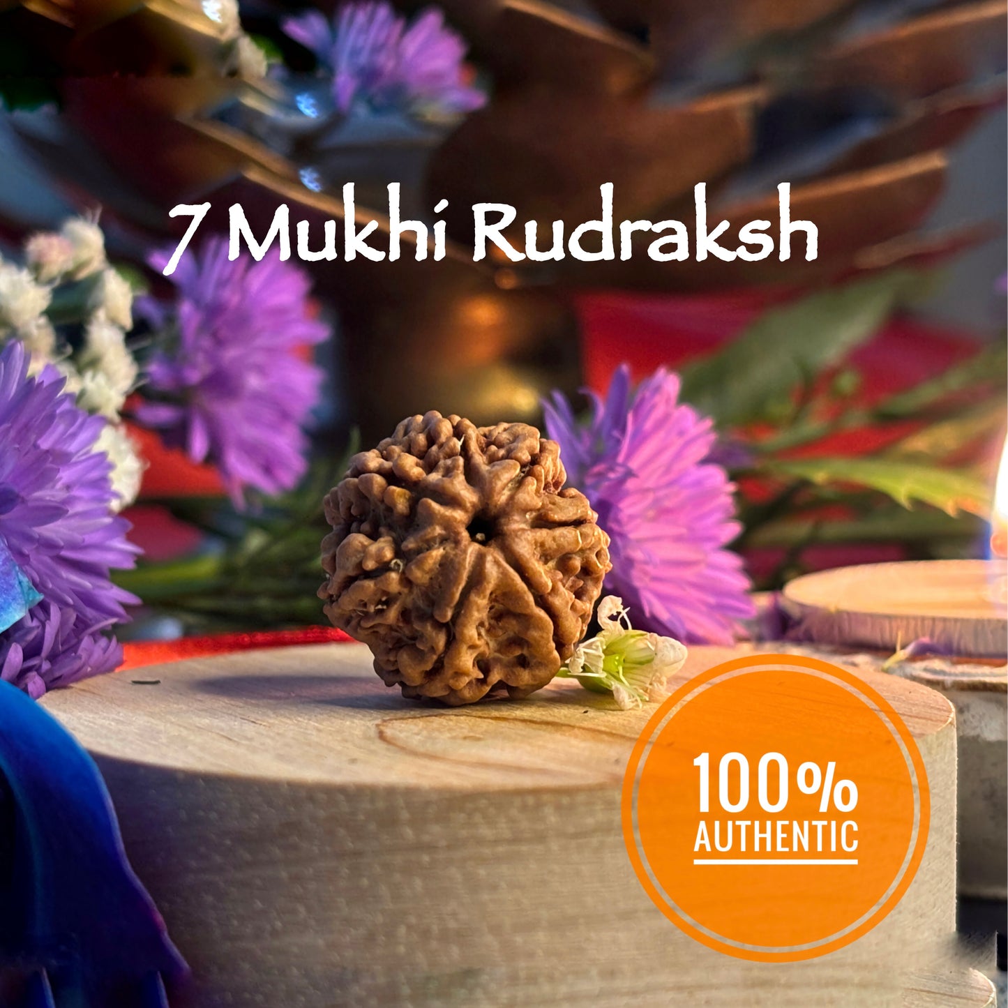 7 Mukhi Rudraksha Nepali (18–22 MM)