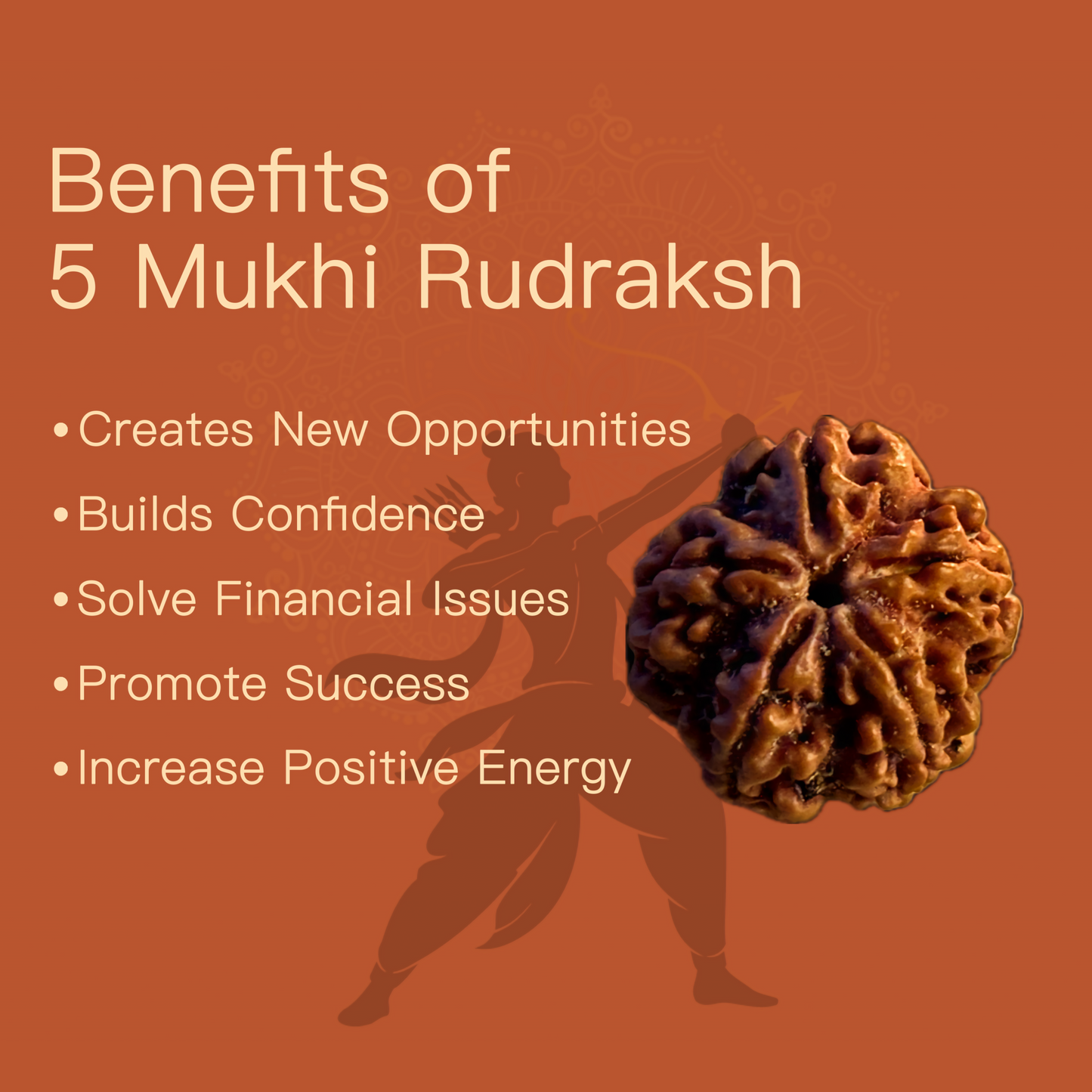 5 Mukhi Rudraksha 