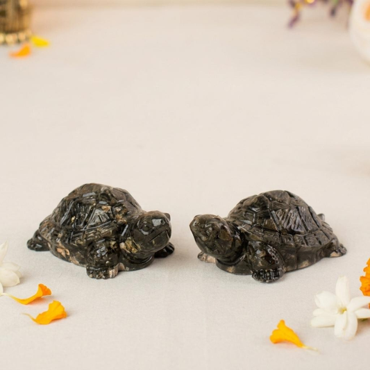 Vastu Pyrite Tortoise (Pack of 2)
