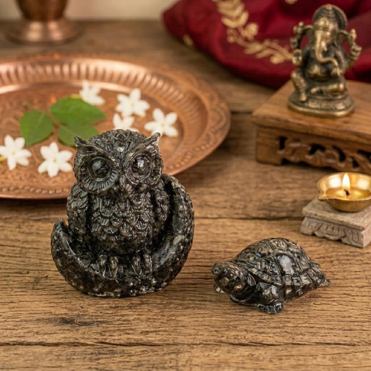 Vastu Pyrite Wealth & Wisdom Combo