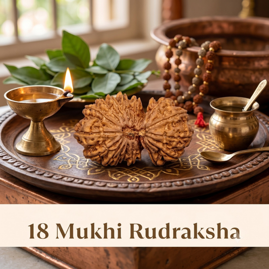 Nepal Origin 18 Mukhi Rudraksha - 17mm to 22mm